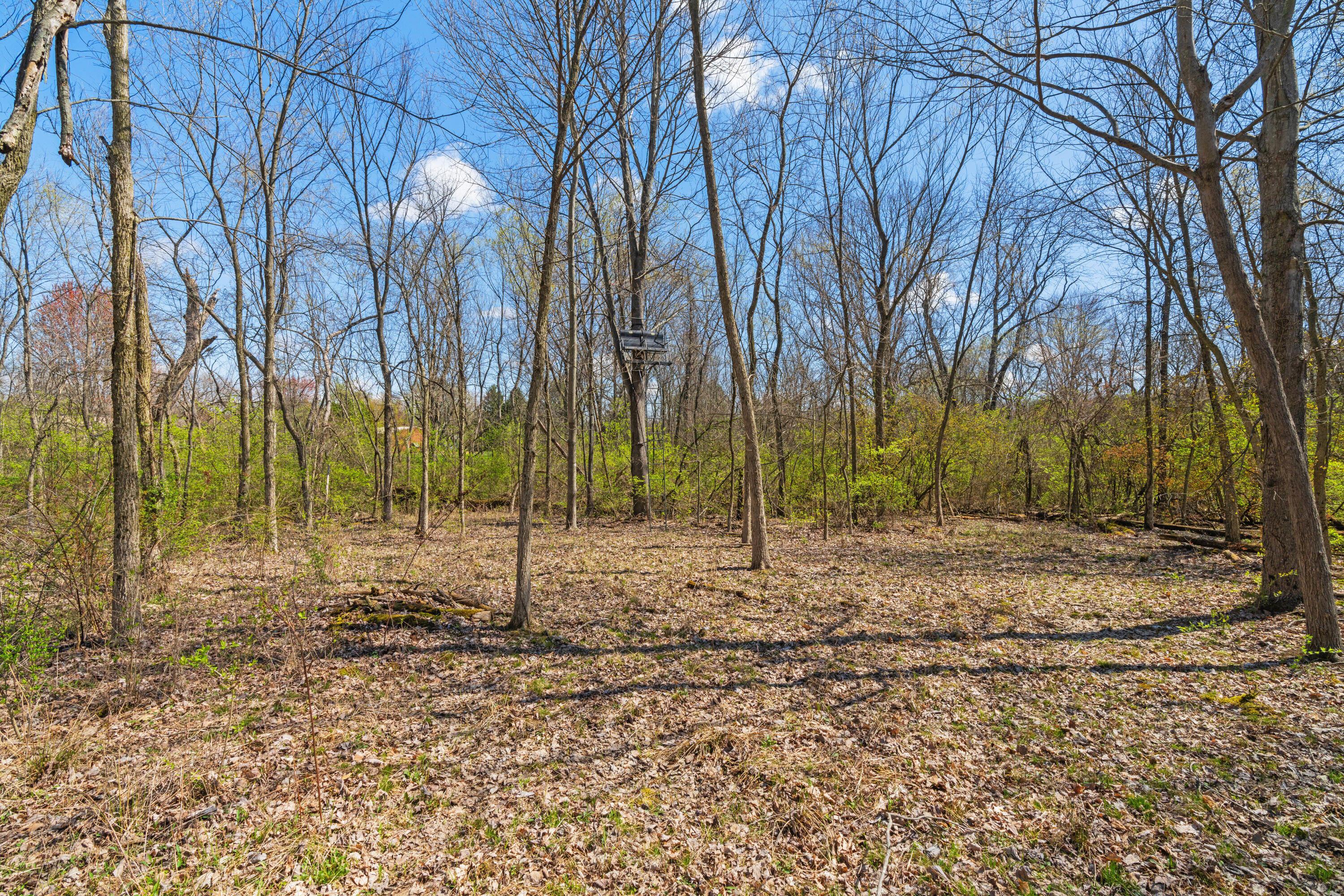 Peachblow Road, Lewis Center, Ohio image 17