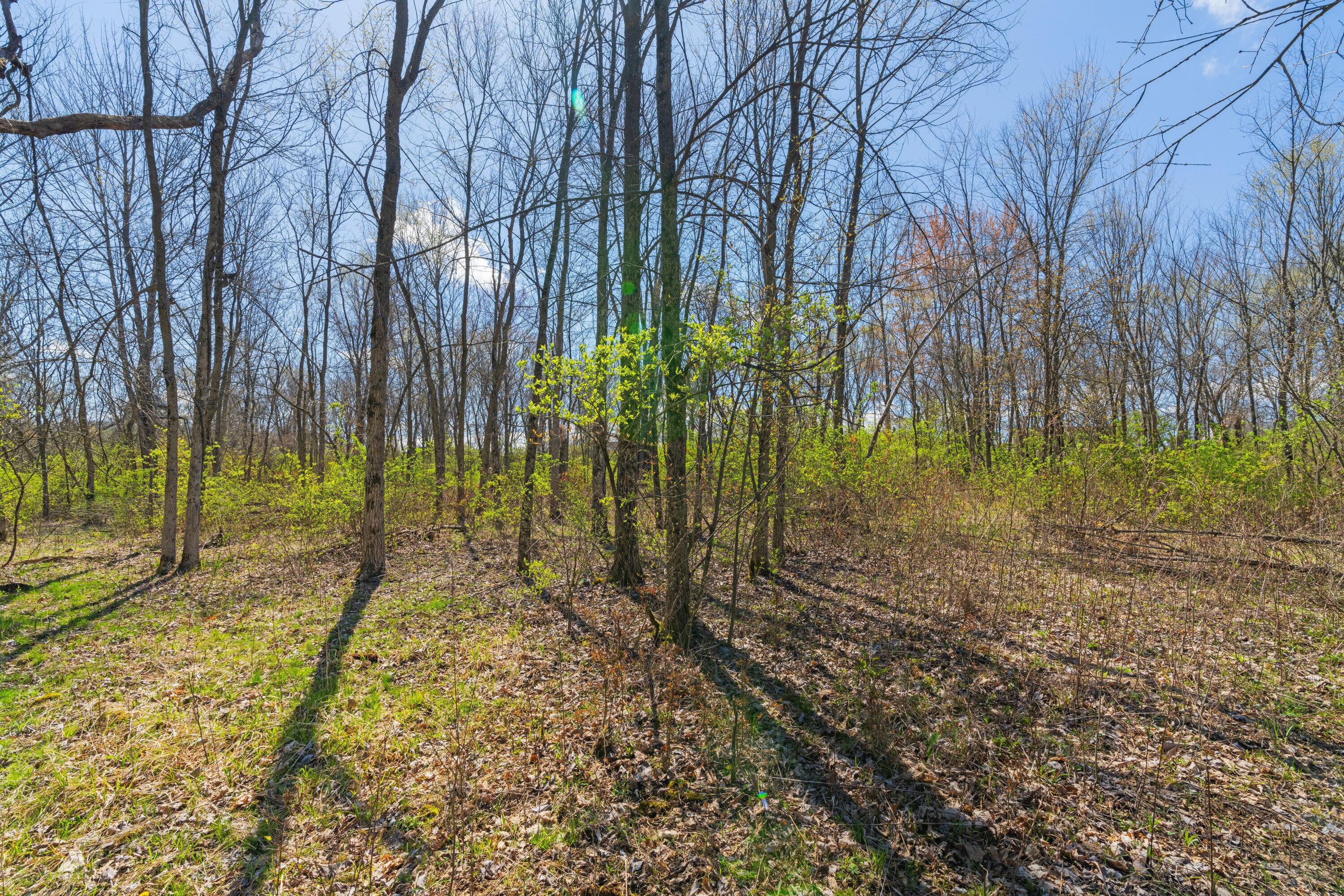 Peachblow Road, Lewis Center, Ohio image 12