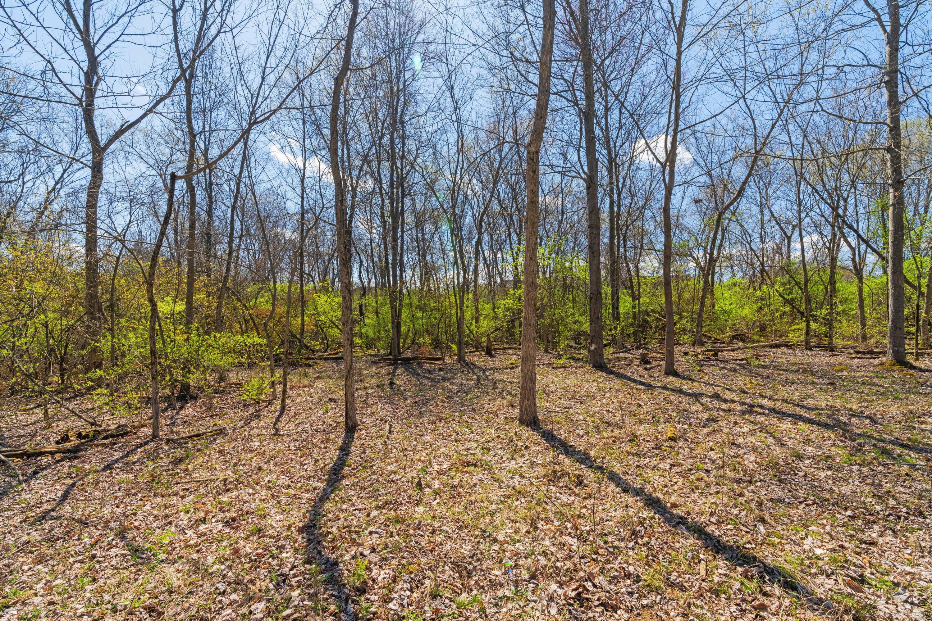 Peachblow Road, Lewis Center, Ohio image 15