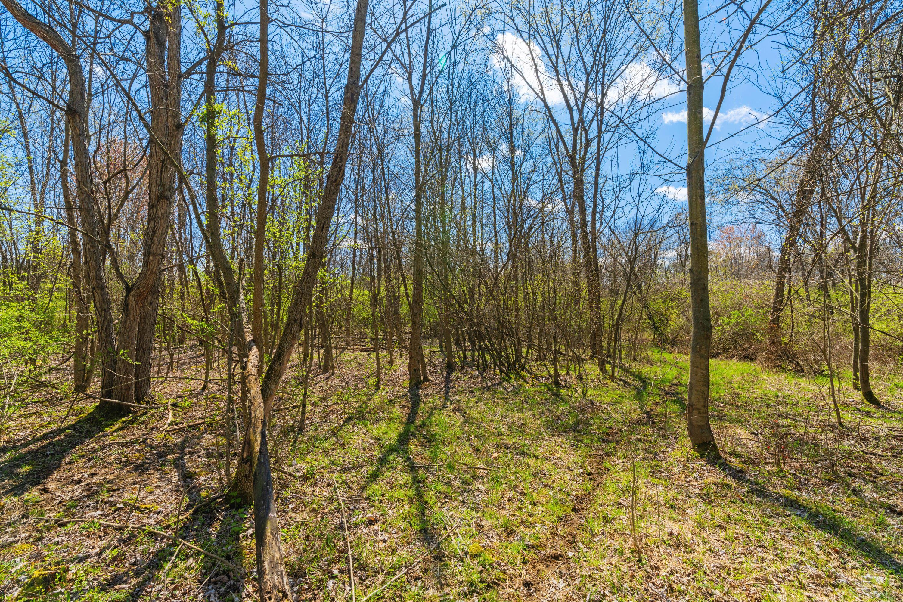 Peachblow Road, Lewis Center, Ohio image 4