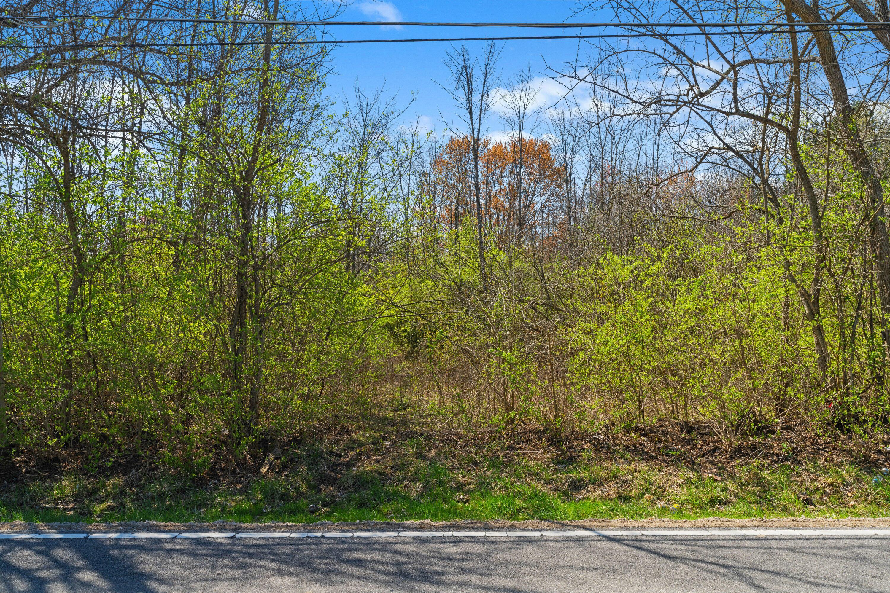 Peachblow Road, Lewis Center, Ohio image 6