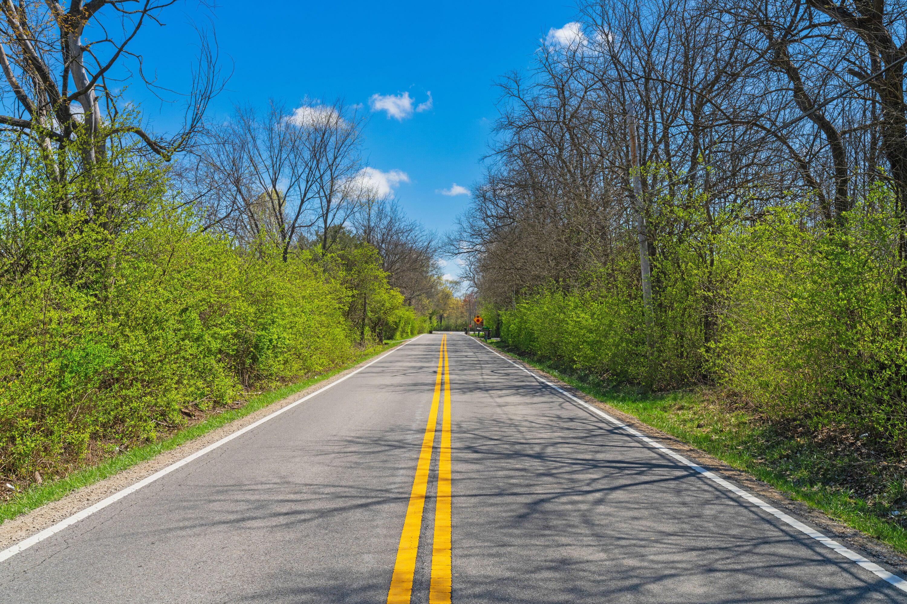 Peachblow Road, Lewis Center, Ohio image 39