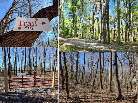 Photo of 999 Poplar Ridge Road (Ponds Poplar Ridge Tract 15) #(Ponds Poplar Ridge, Gallipolis, OH 45631 (MLS # 226014676)