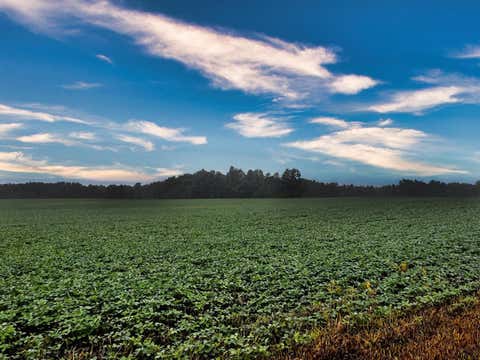 Vacant Land For Sale - Township Road 114<br/> Mount Gilead, OH 43338