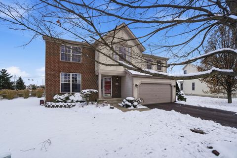 Photo of 8910 Sedona Court, Lewis Center, OH 43035 (MLS # 225044918)