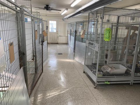 Tiny photo for 11241 Center Road, Garrettsville, OH 44231 (MLS # 226002748)