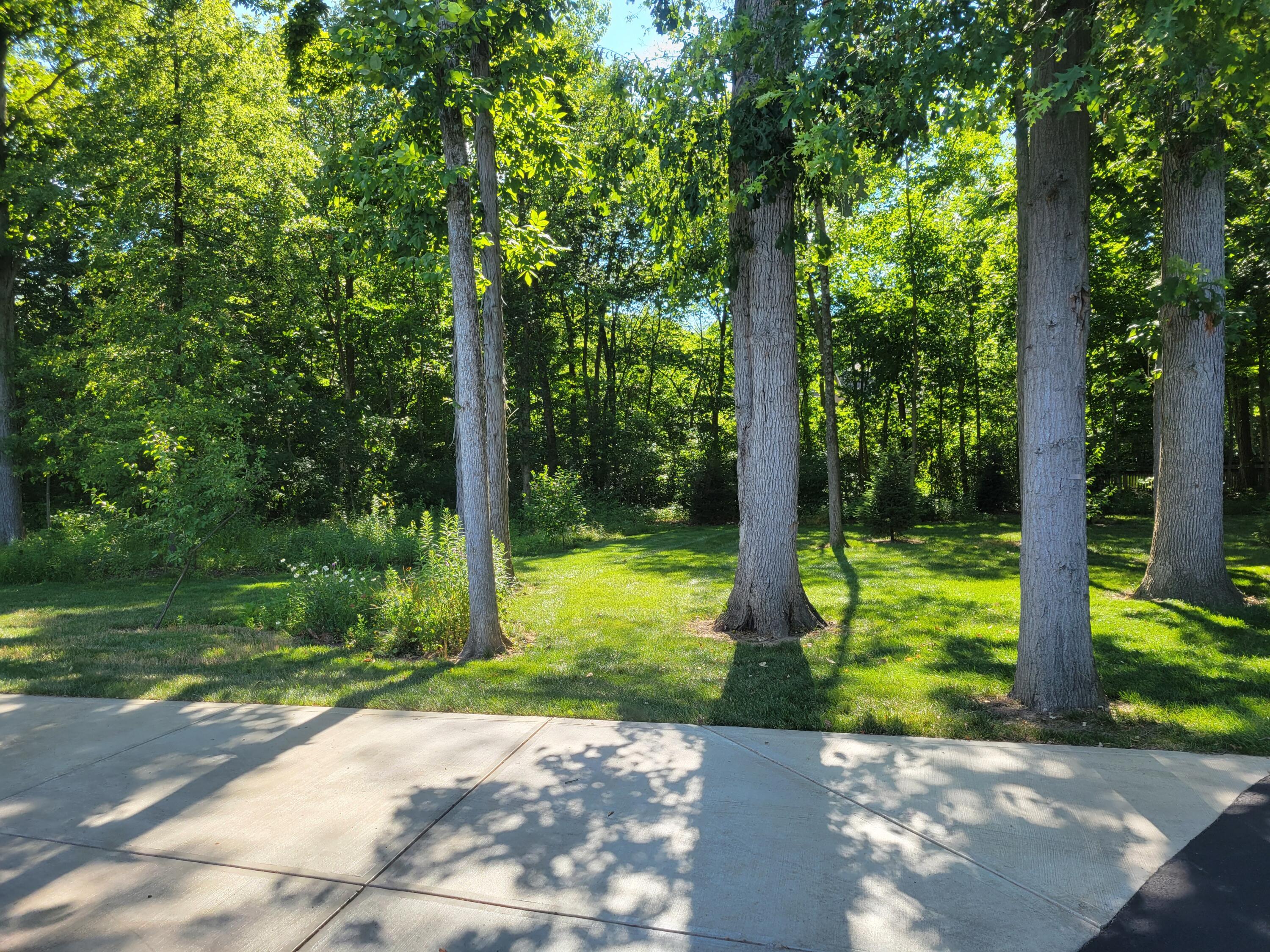 410 Trillium Drive, Galloway, Ohio image 23