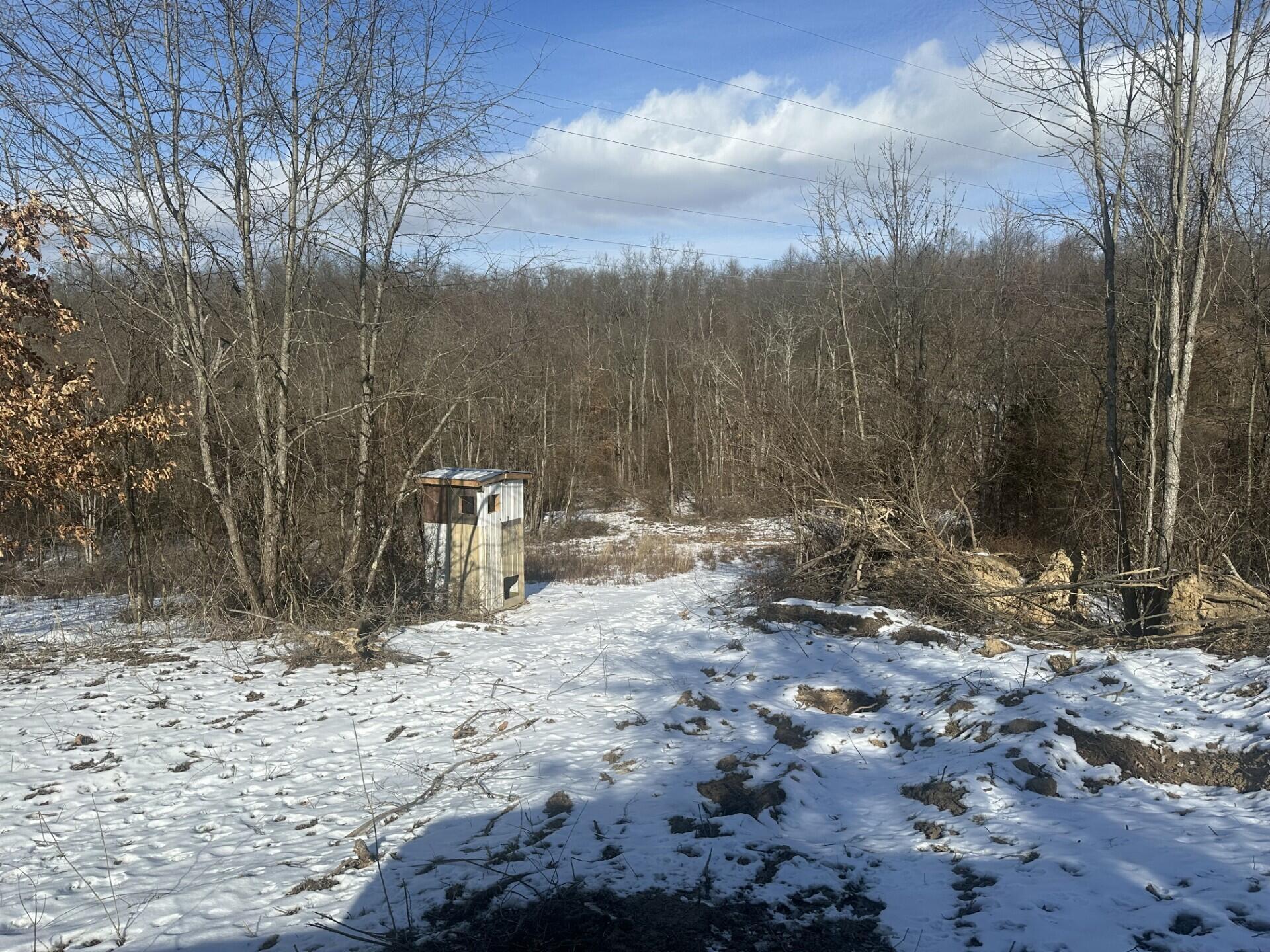 Raiders Road, Dresden, Ohio image 6