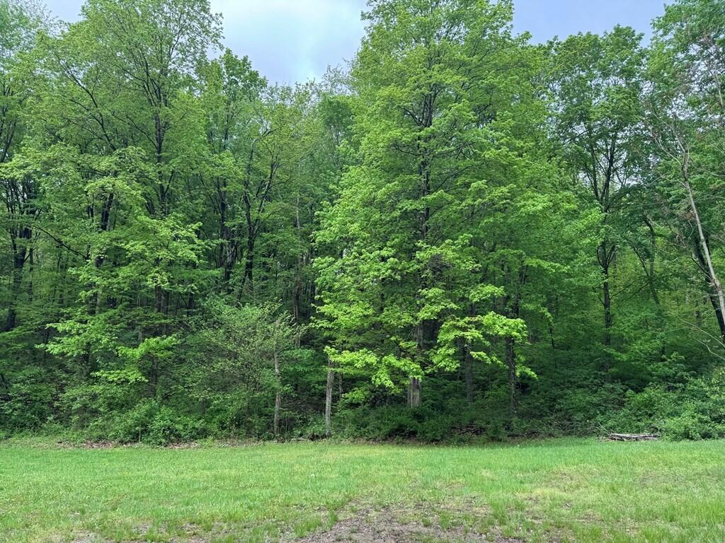 472 Clark Road, Chillicothe, Ohio image 29