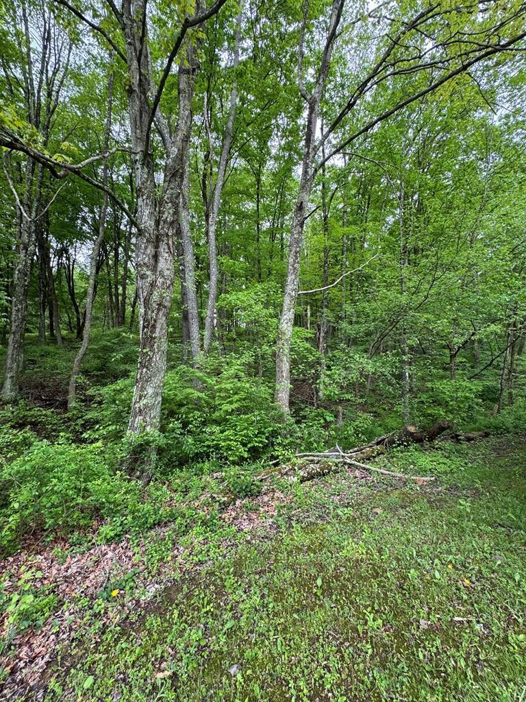 472 Clark Road, Chillicothe, Ohio image 22