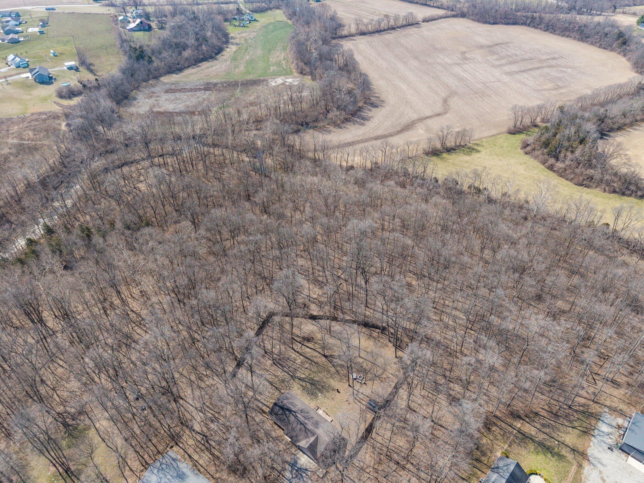 12505 Jamison Road, Leesburg, Ohio image 29