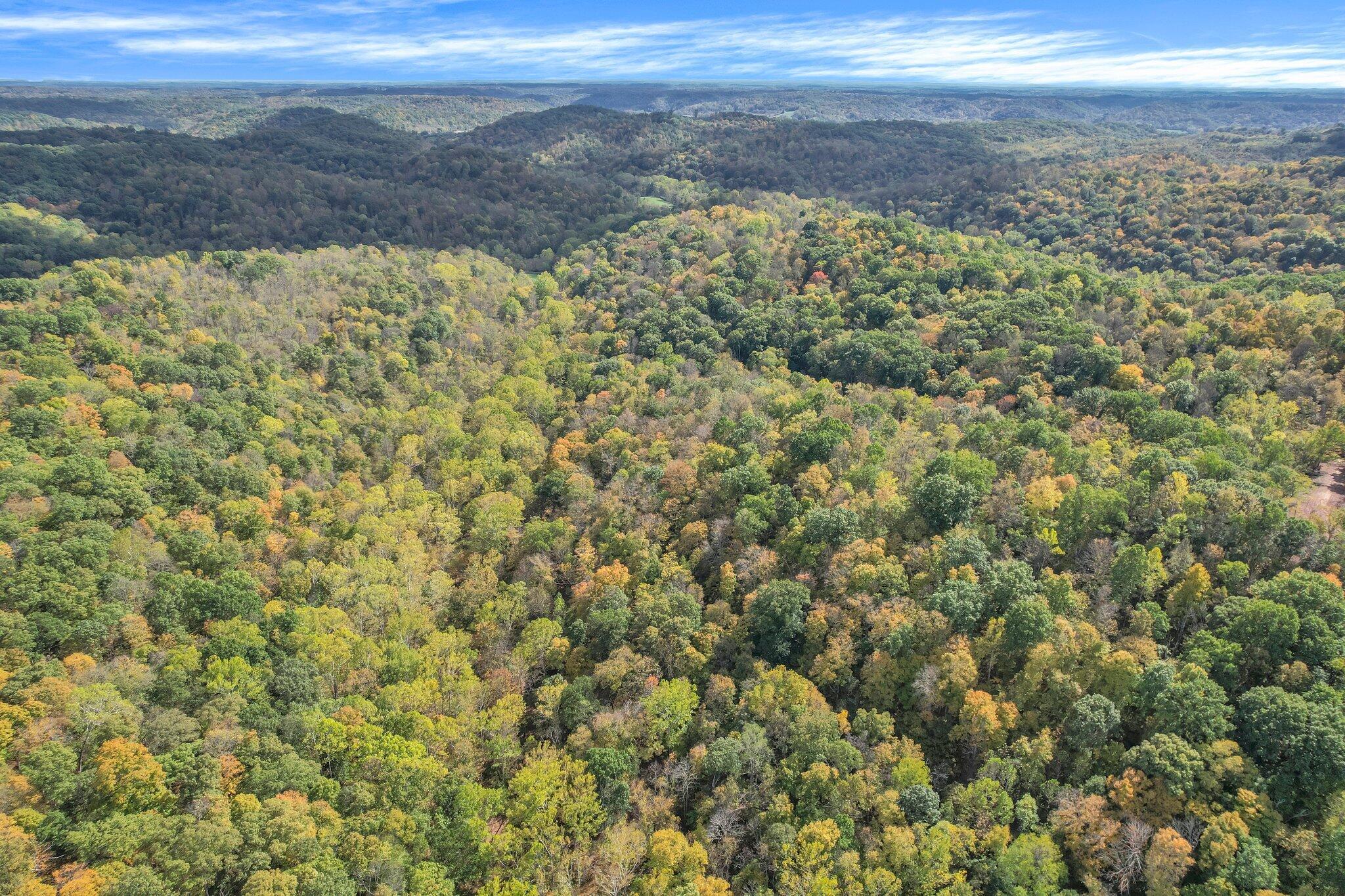 E Copeland Road #TRACT 2, Stewart, Ohio image 19