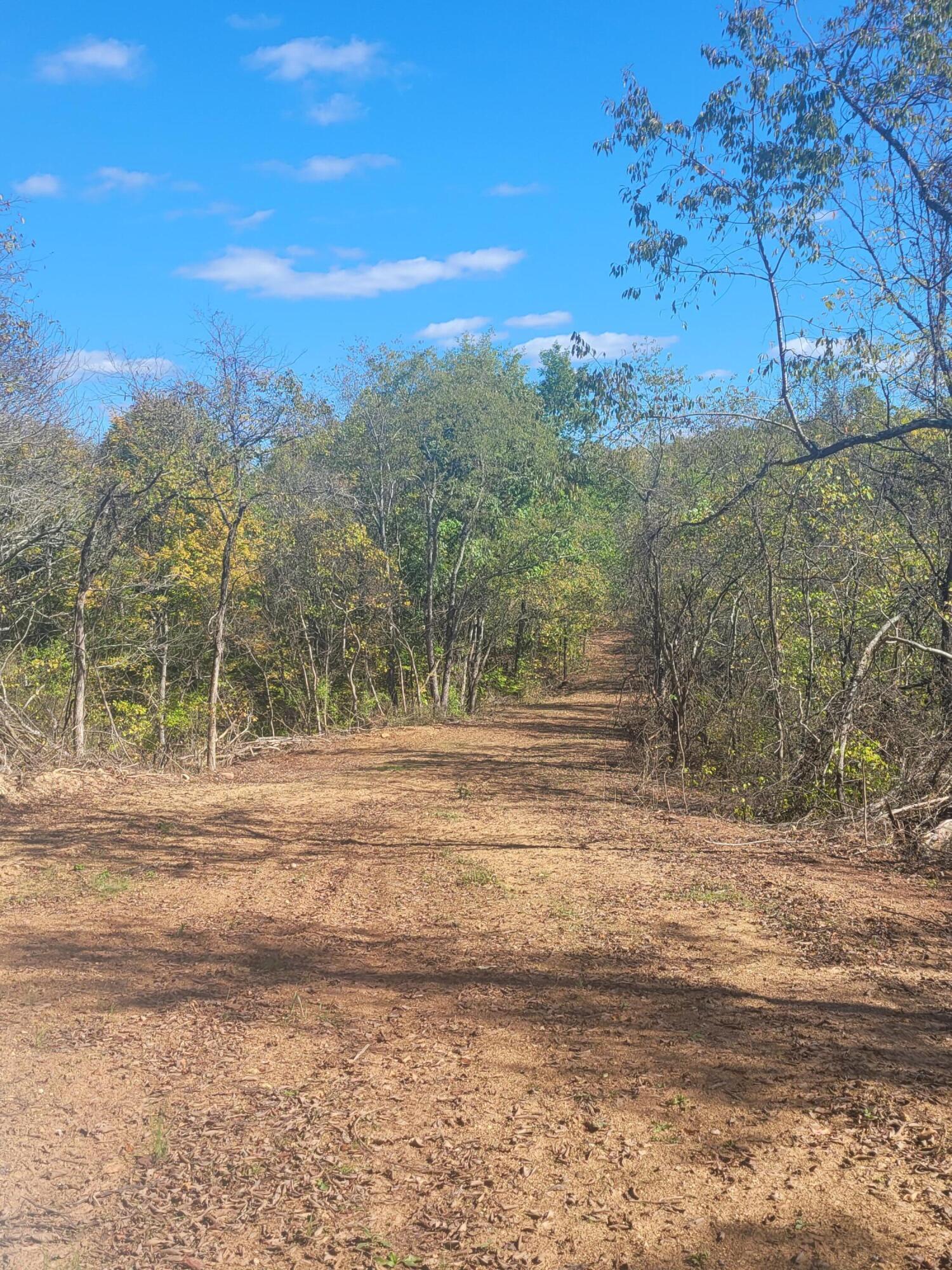 E Copeland Road #TRACT 2, Stewart, Ohio image 8