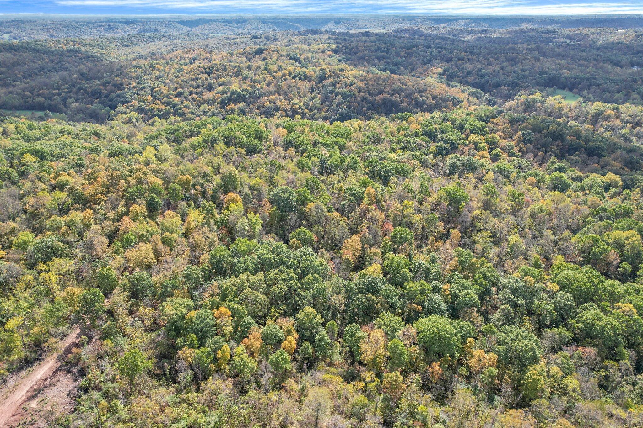 E Copeland Road #TRACT 2, Stewart, Ohio image 11