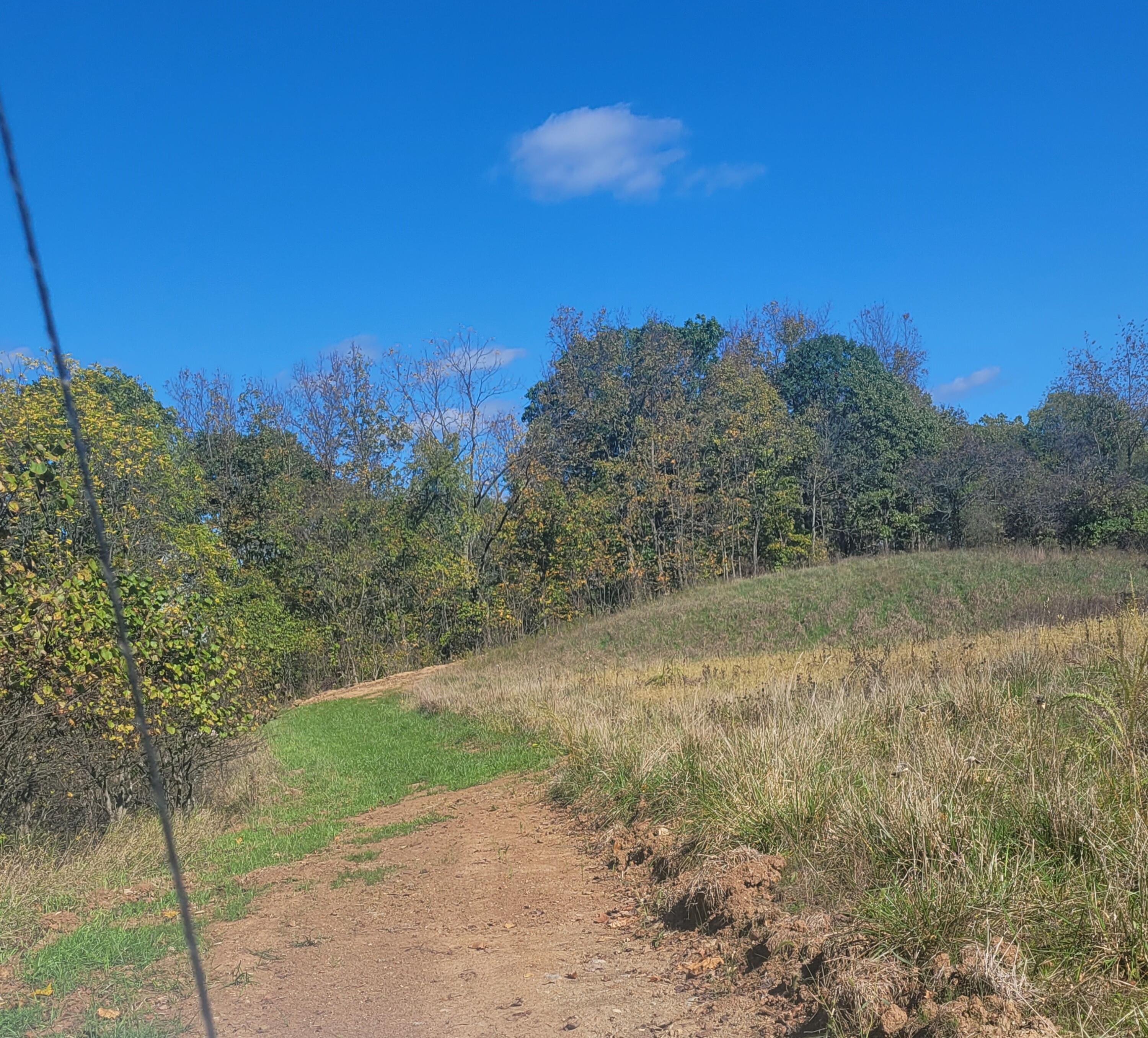 E Copeland Road #TRACT 2, Stewart, Ohio image 4