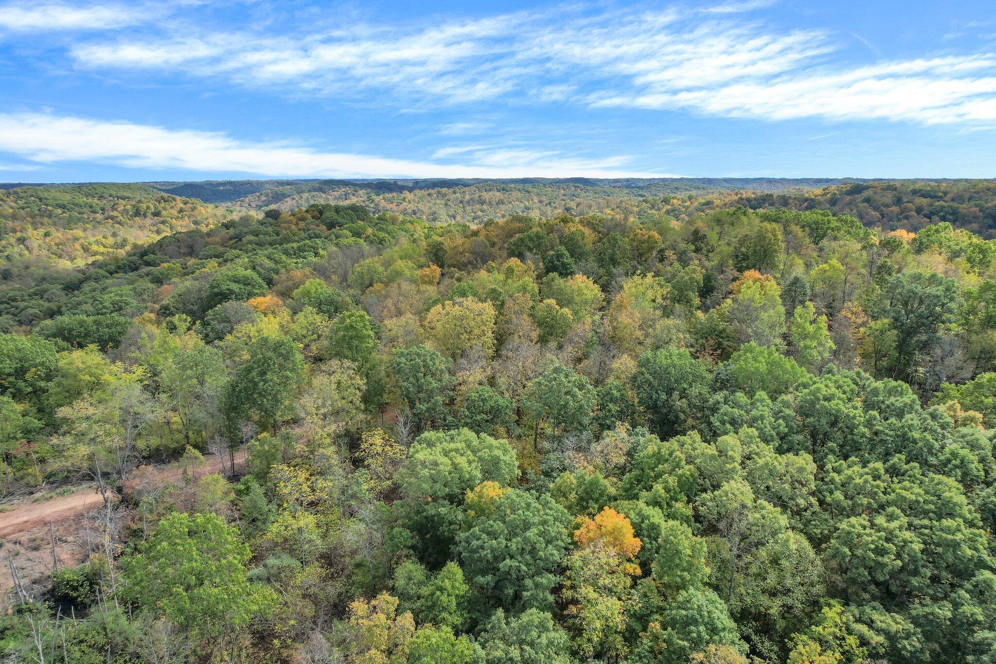 E Copeland Road #TRACT 2, Stewart, Ohio image 17