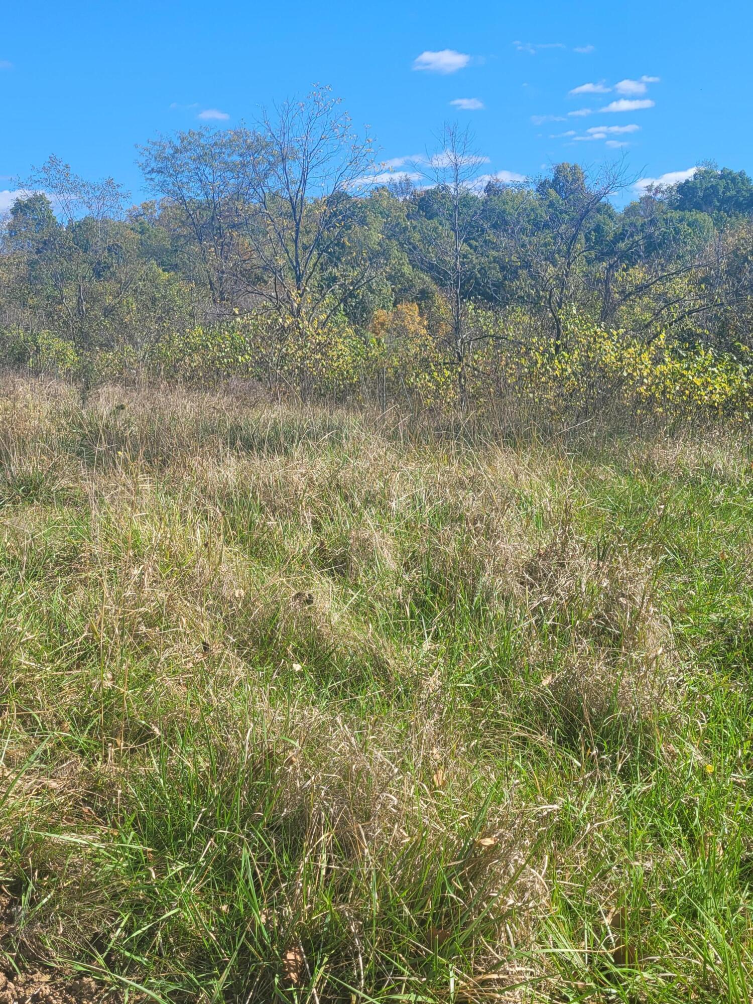 E Copeland Road #TRACT 2, Stewart, Ohio image 5