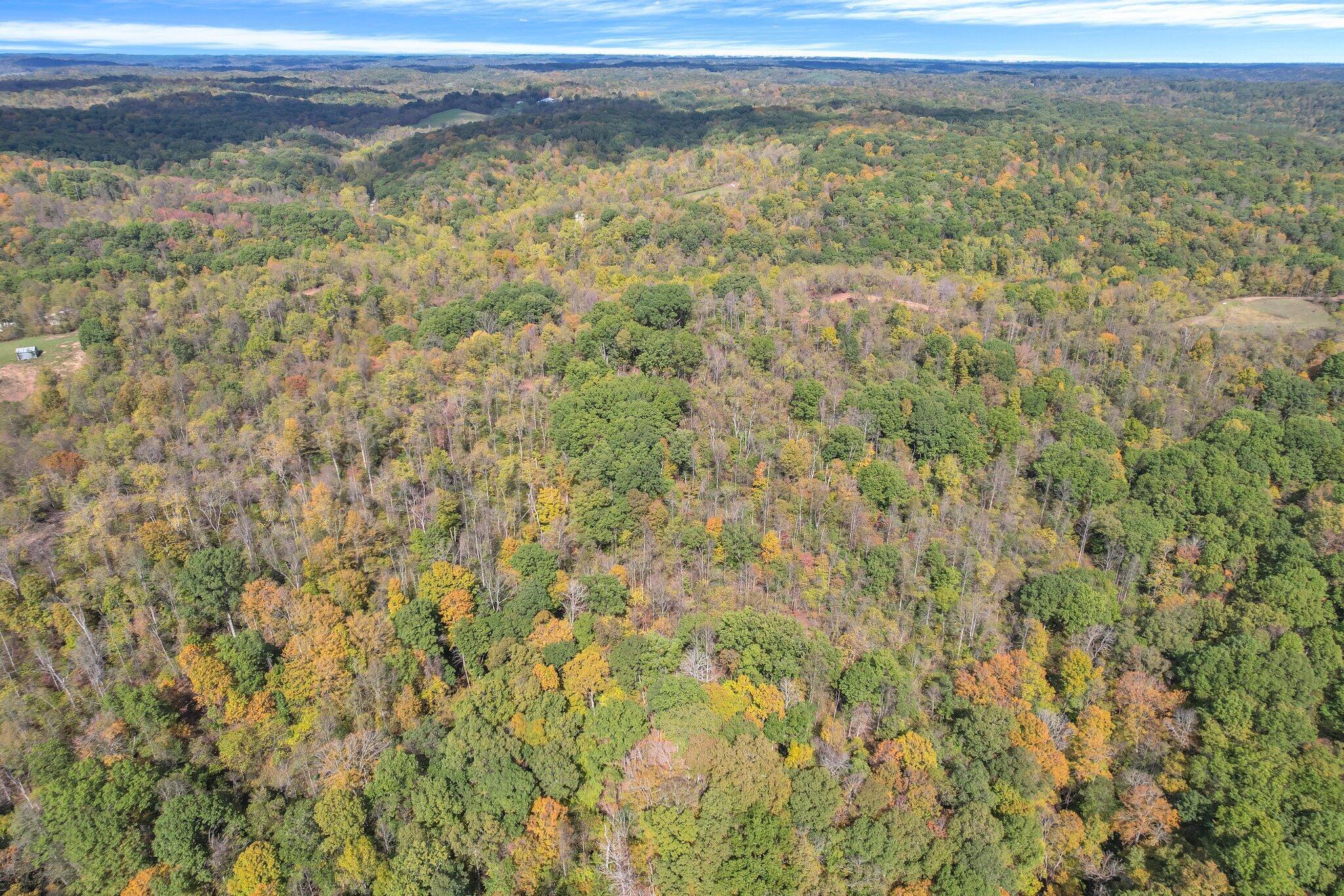 E Copeland Road #TRACT 2, Stewart, Ohio image 18