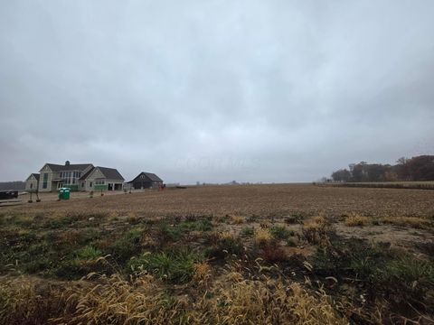 Photo of 9513 State Route 736, Plain City, OH 43064 (MLS # 225042554)