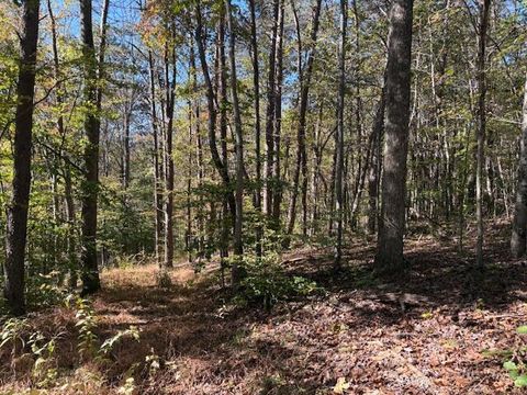 Photo of 9847 Stage Road, Logan, OH 43138 (MLS # 225038797)