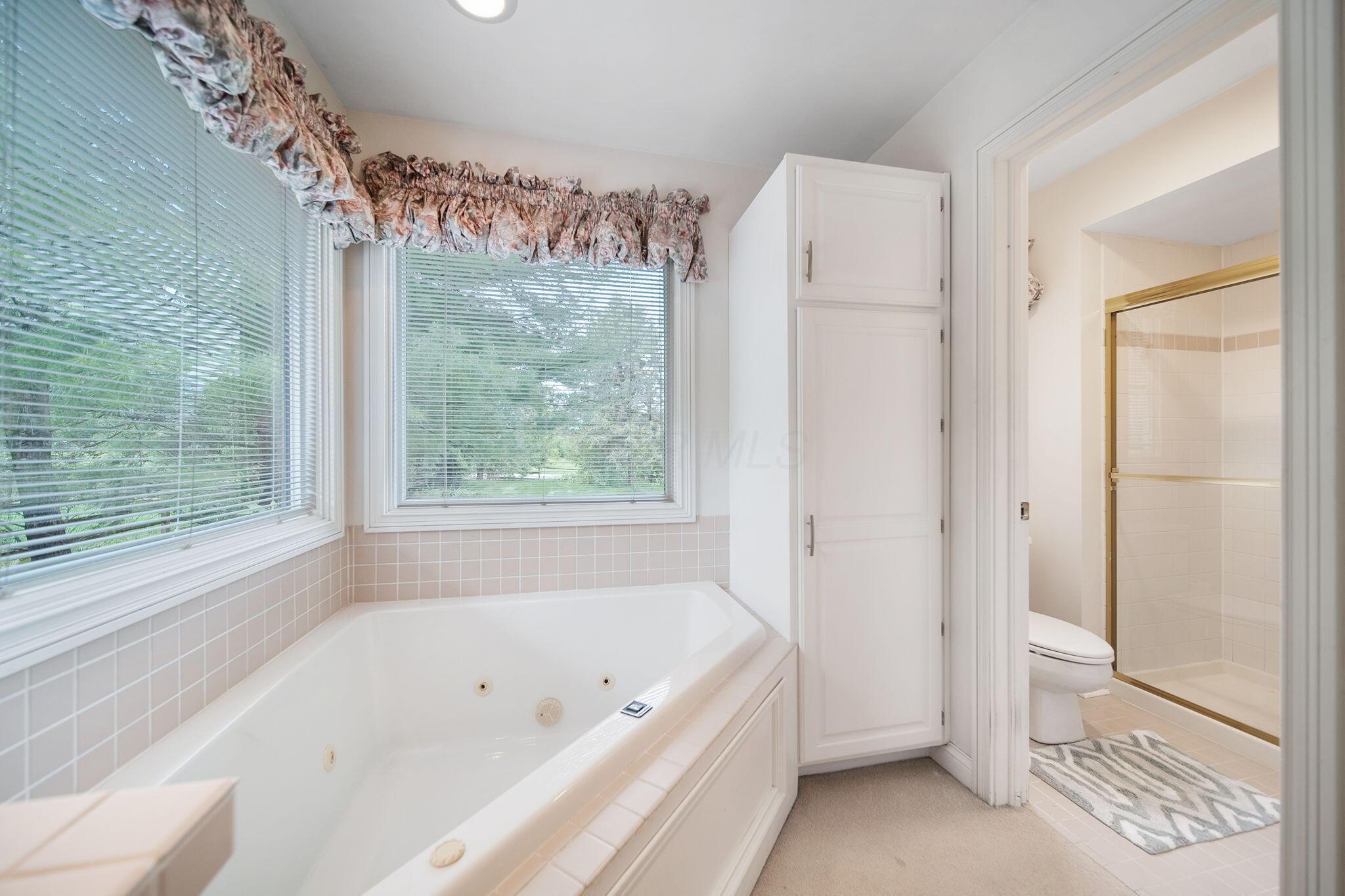 6180 Storm Haven Court, Lewis Center, Ohio image 20
