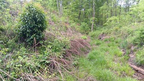 Vacant Land For Sale - Hampton Hollow Road #7 ACRE TRACT<br/> Langsville, OH 45741