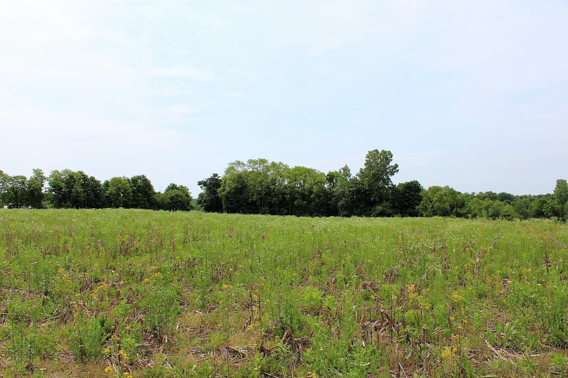 Old Millersport Road, Lancaster, Ohio image 8