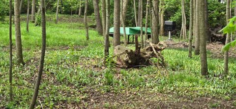 Tiny photo for 9421 Winchester Road, Groveport, OH 43125 (MLS # 226014262)