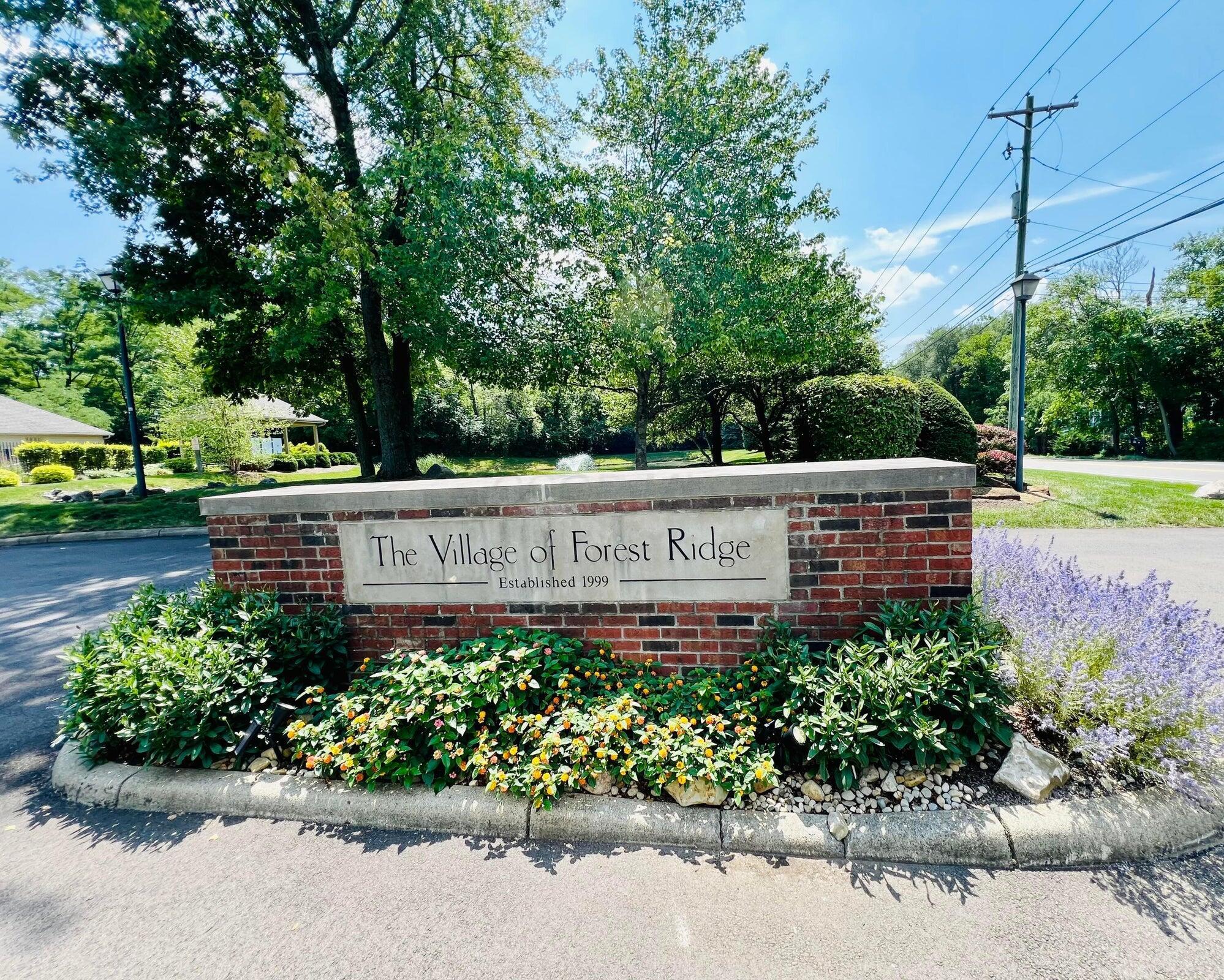 168 Collier Ridge Drive, Columbus, Ohio image 44