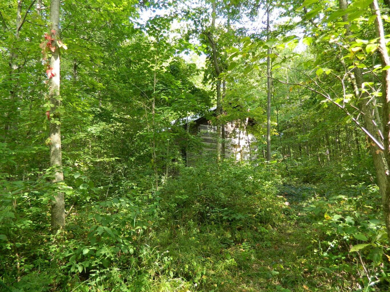 30650 State Route 739, Richwood, Ohio image 11