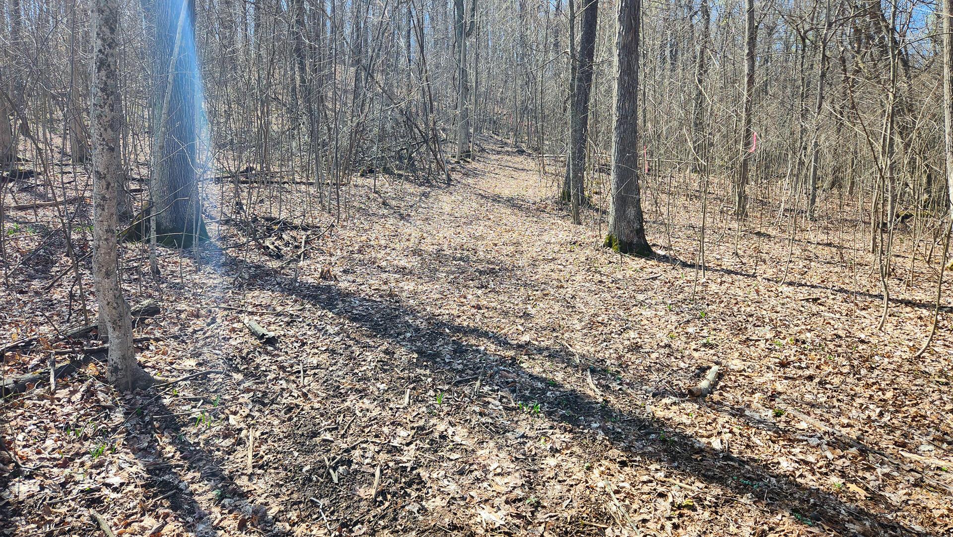 Pike Lake Rd Road #TRACT 2 PIKE LAKE GETAWA, Bainbridge, Ohio image 39
