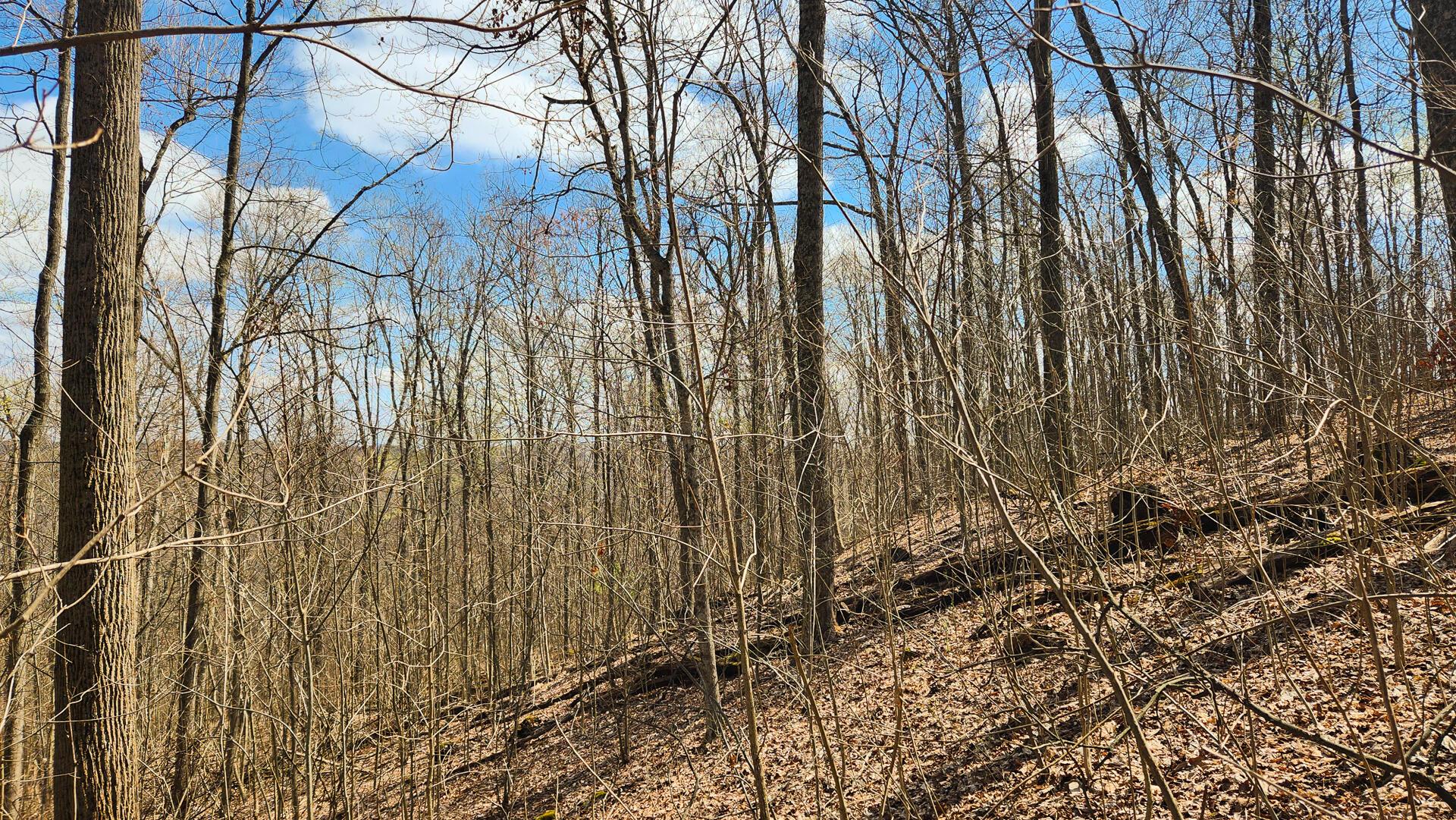Pike Lake Rd Road #TRACT 2 PIKE LAKE GETAWA, Bainbridge, Ohio image 28