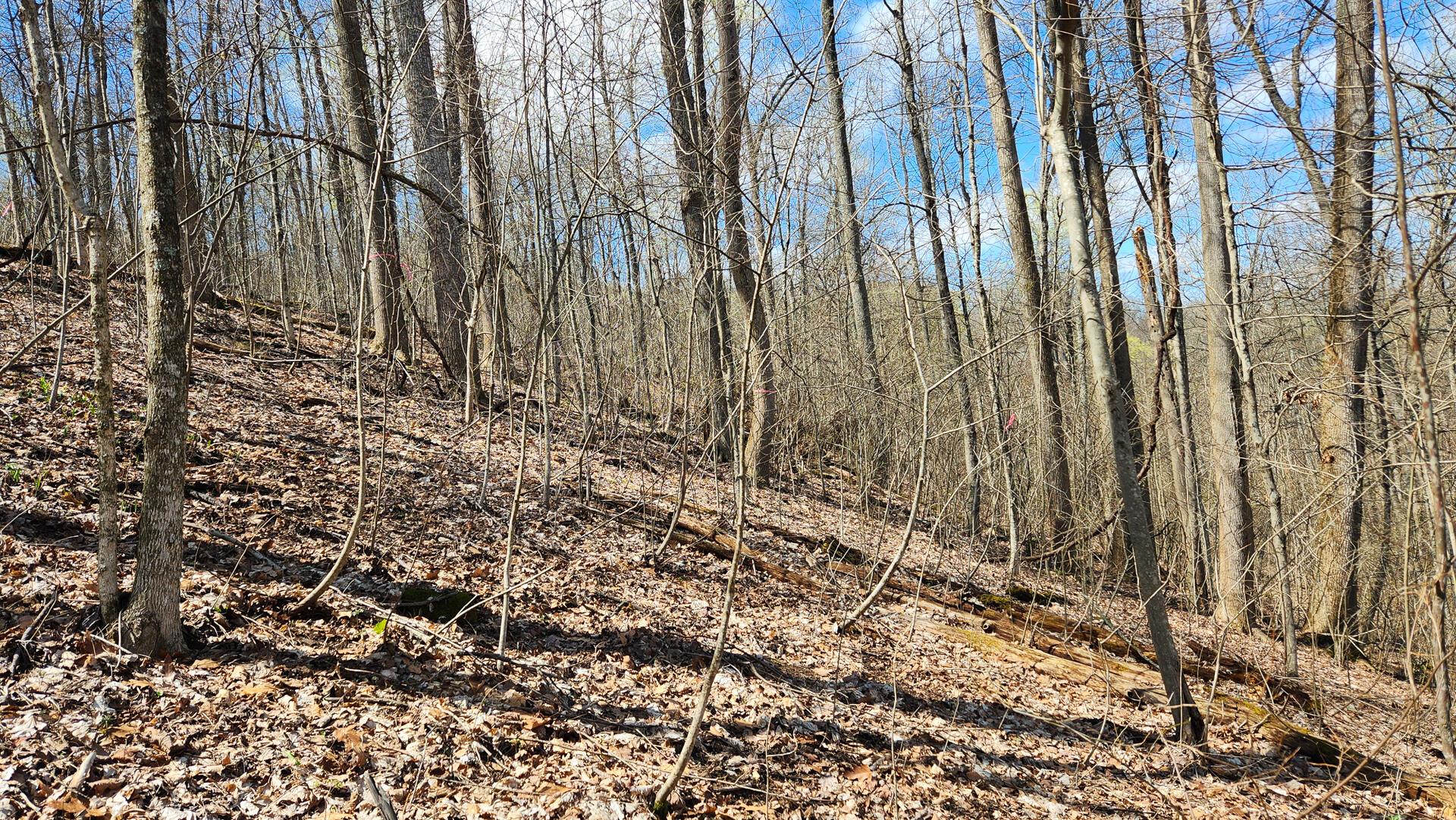 Pike Lake Rd Road #TRACT 2 PIKE LAKE GETAWA, Bainbridge, Ohio image 34