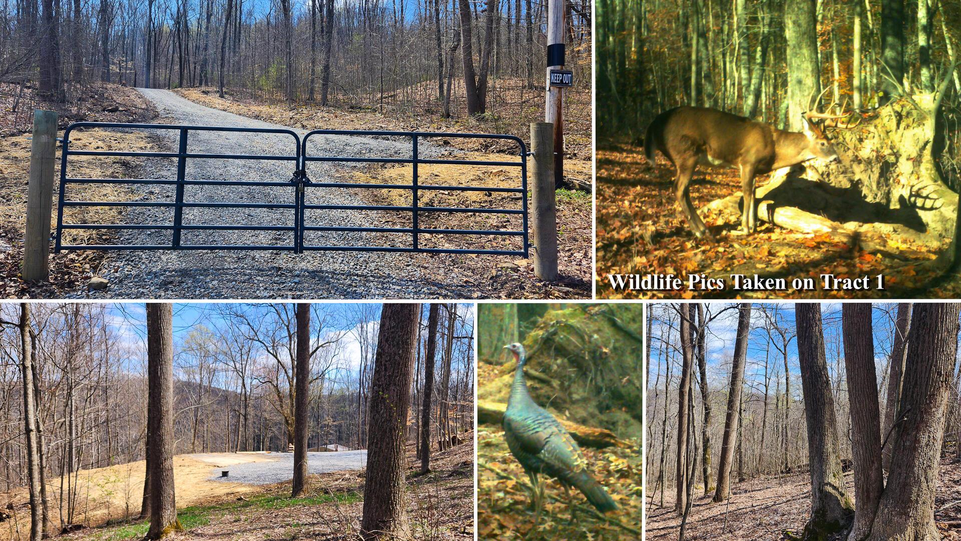 Pike Lake Rd Road #TRACT 2 PIKE LAKE GETAWA, Bainbridge, Ohio image 1