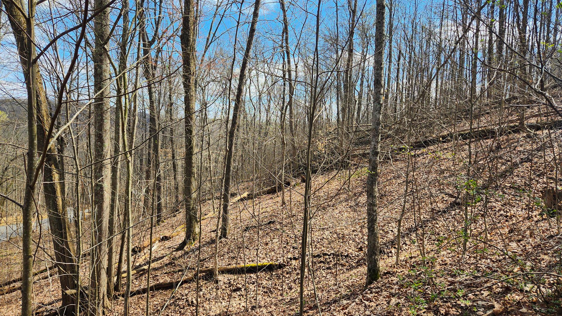 Pike Lake Rd Road #TRACT 2 PIKE LAKE GETAWA, Bainbridge, Ohio image 40
