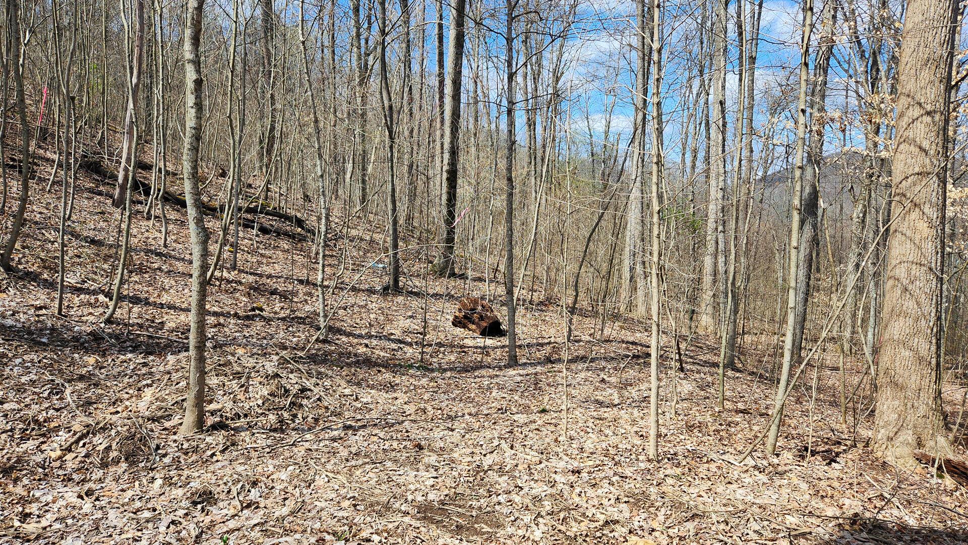 Pike Lake Rd Road #TRACT 2 PIKE LAKE GETAWA, Bainbridge, Ohio image 17