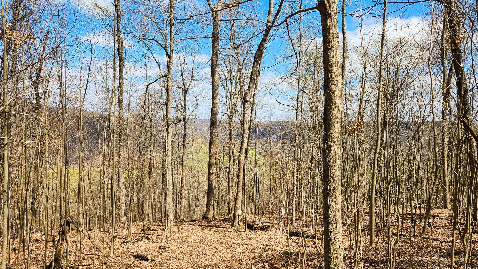 Pike Lake Rd Road #TRACT 2 PIKE LAKE GETAWA, Bainbridge, Ohio image 24