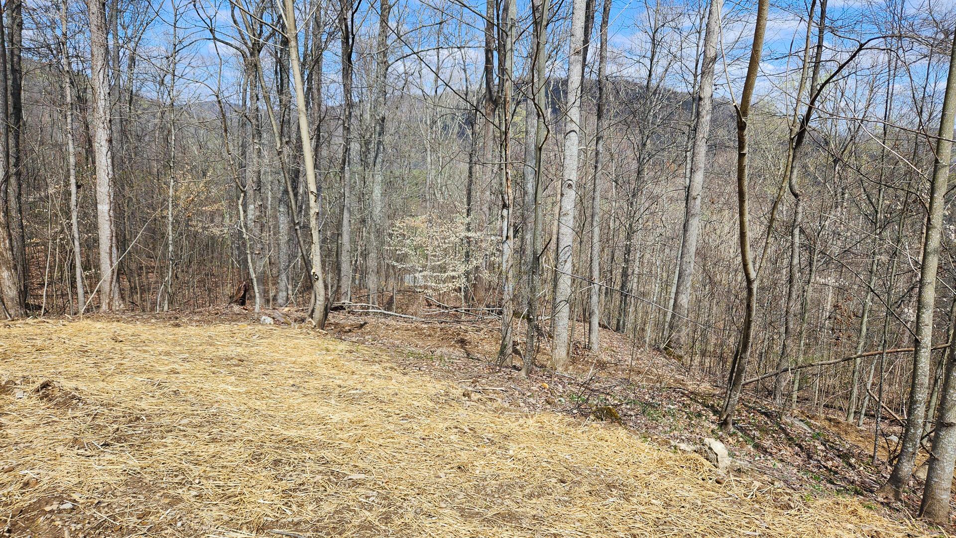 Pike Lake Rd Road #TRACT 2 PIKE LAKE GETAWA, Bainbridge, Ohio image 46