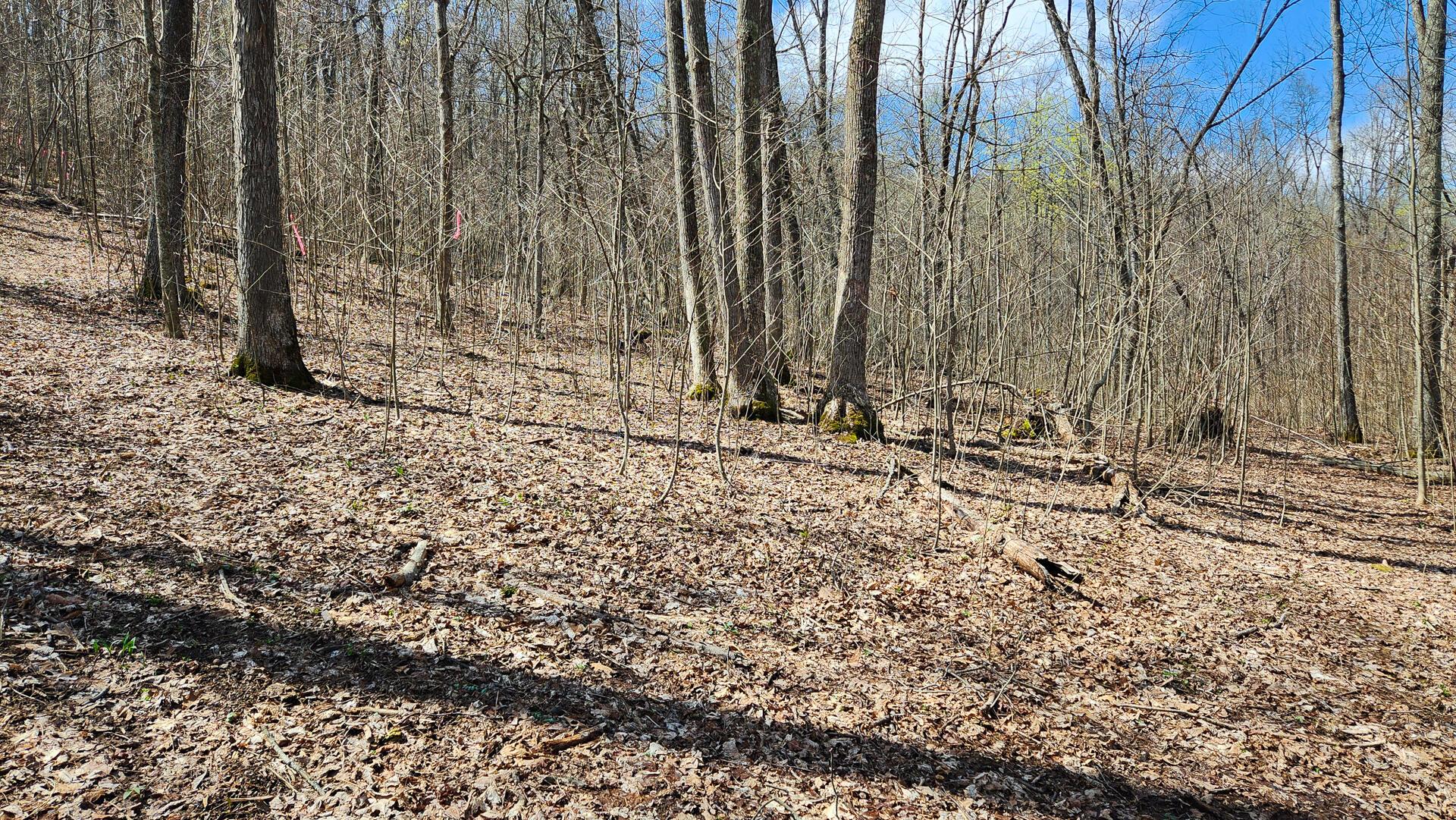 Pike Lake Rd Road #TRACT 2 PIKE LAKE GETAWA, Bainbridge, Ohio image 21