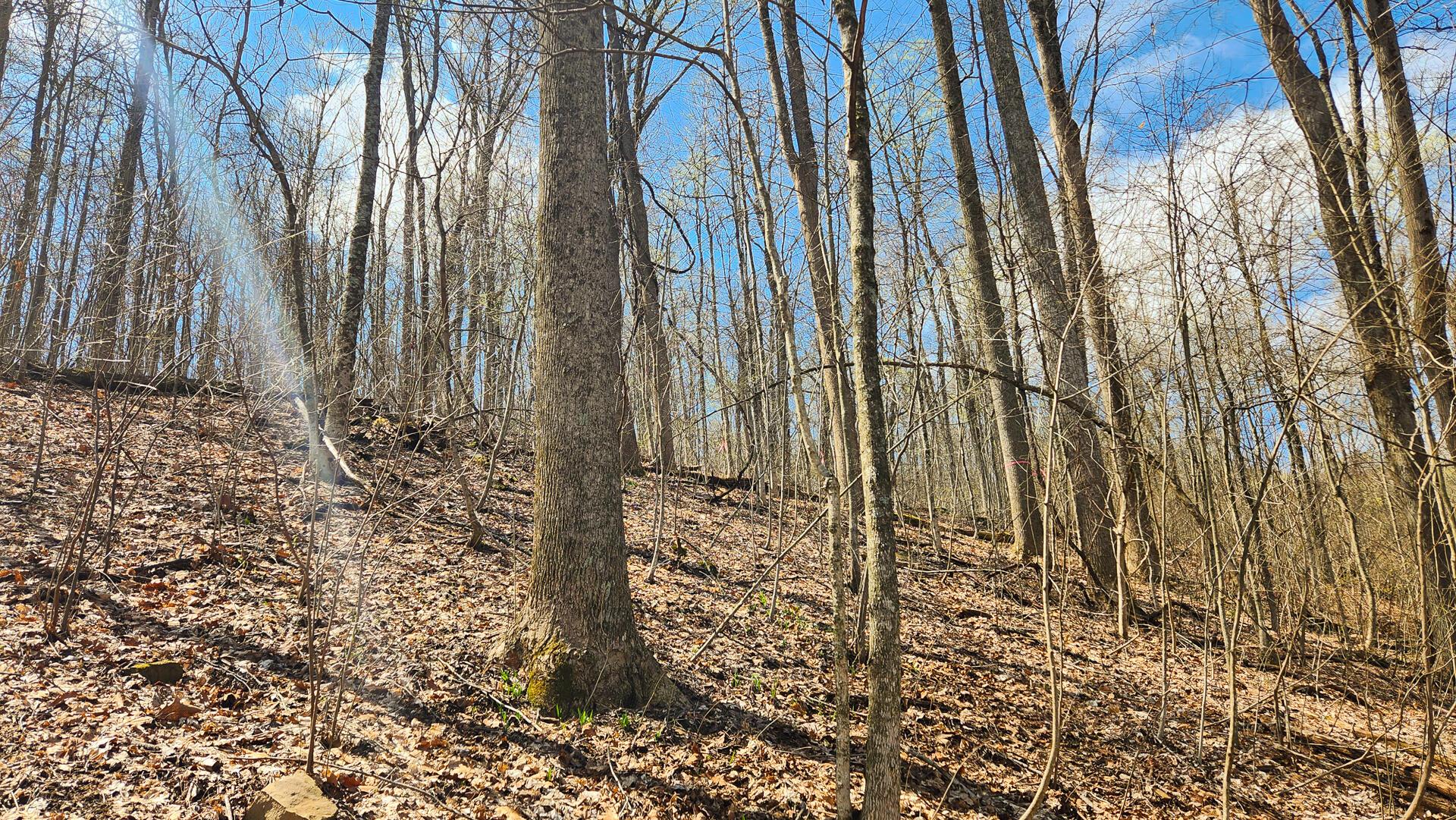 Pike Lake Rd Road #TRACT 2 PIKE LAKE GETAWA, Bainbridge, Ohio image 35
