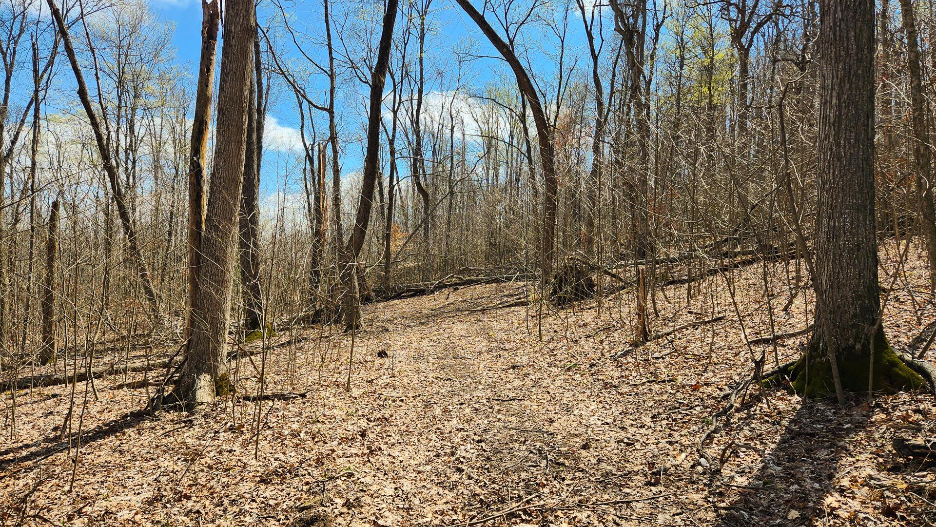 Pike Lake Rd Road #TRACT 2 PIKE LAKE GETAWA, Bainbridge, Ohio image 2