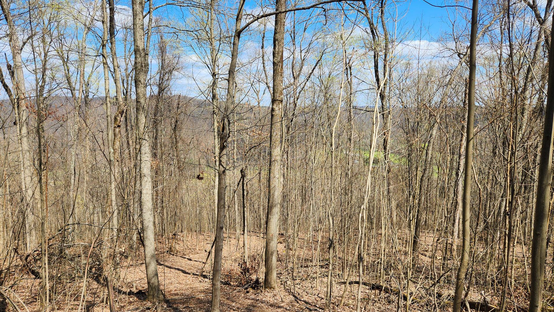 Pike Lake Rd Road #TRACT 2 PIKE LAKE GETAWA, Bainbridge, Ohio image 26