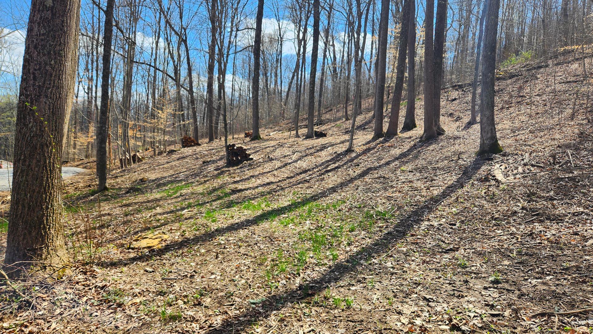 Pike Lake Rd Road #TRACT 2 PIKE LAKE GETAWA, Bainbridge, Ohio image 14