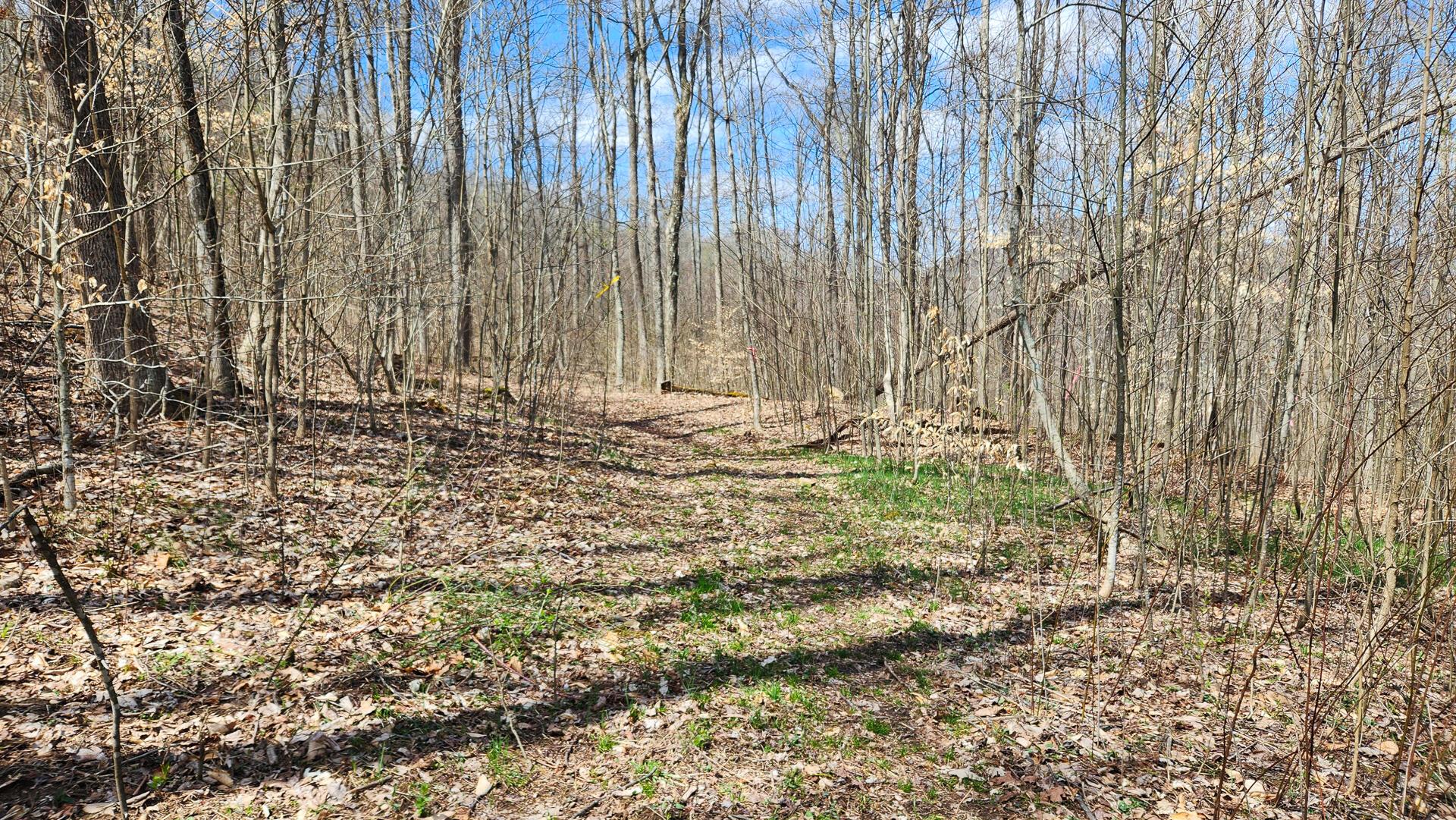 Pike Lake Rd Road #TRACT 2 PIKE LAKE GETAWA, Bainbridge, Ohio image 15