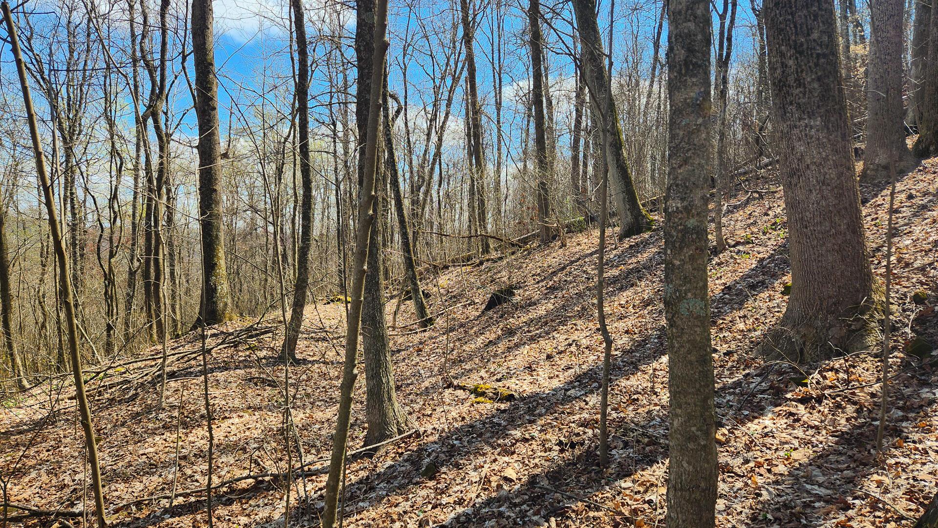 Pike Lake Rd Road #TRACT 2 PIKE LAKE GETAWA, Bainbridge, Ohio image 22