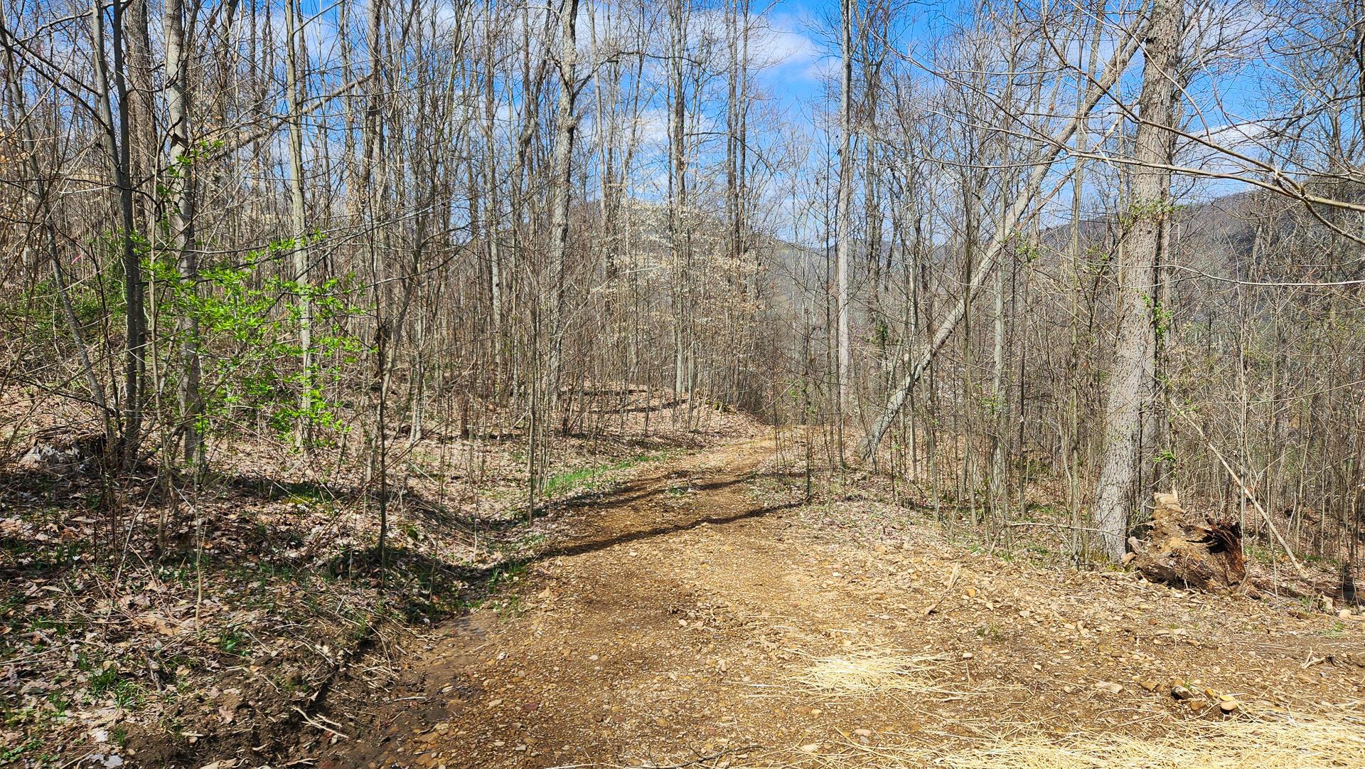 Pike Lake Rd Road #TRACT 2 PIKE LAKE GETAWA, Bainbridge, Ohio image 43