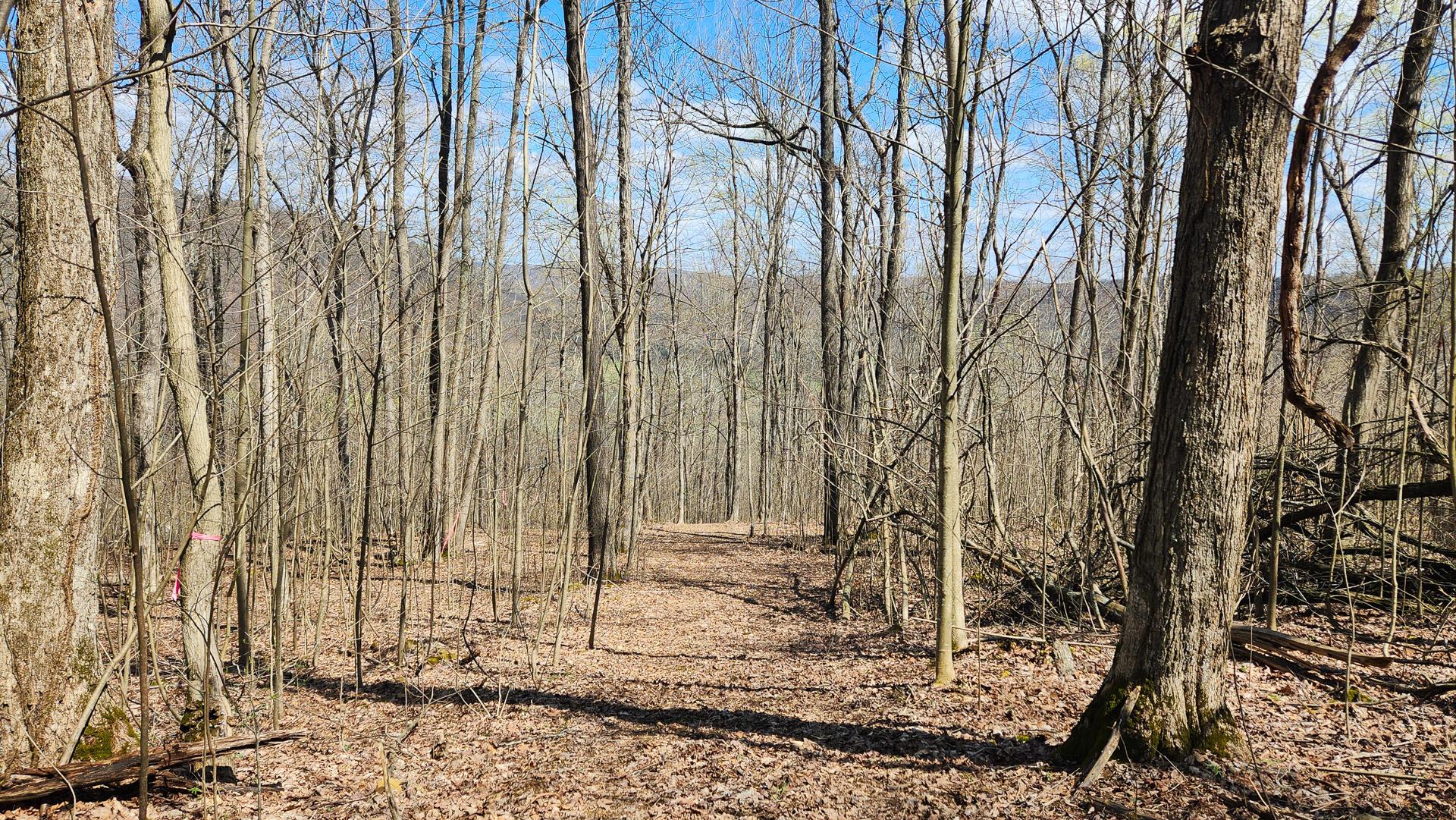 Pike Lake Rd Road #TRACT 2 PIKE LAKE GETAWA, Bainbridge, Ohio image 3