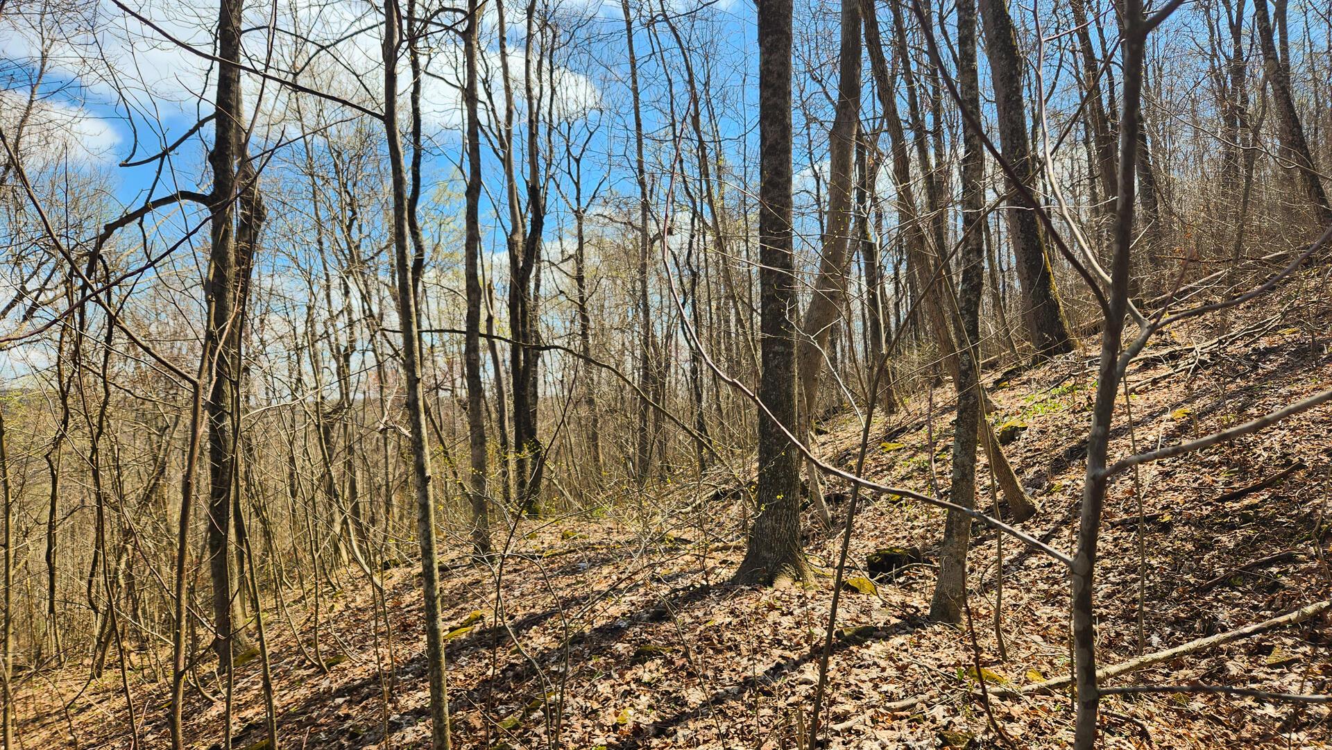 Pike Lake Rd Road #TRACT 2 PIKE LAKE GETAWA, Bainbridge, Ohio image 36