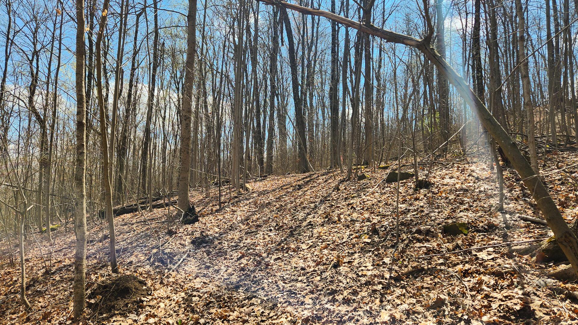 Pike Lake Rd Road #TRACT 2 PIKE LAKE GETAWA, Bainbridge, Ohio image 33