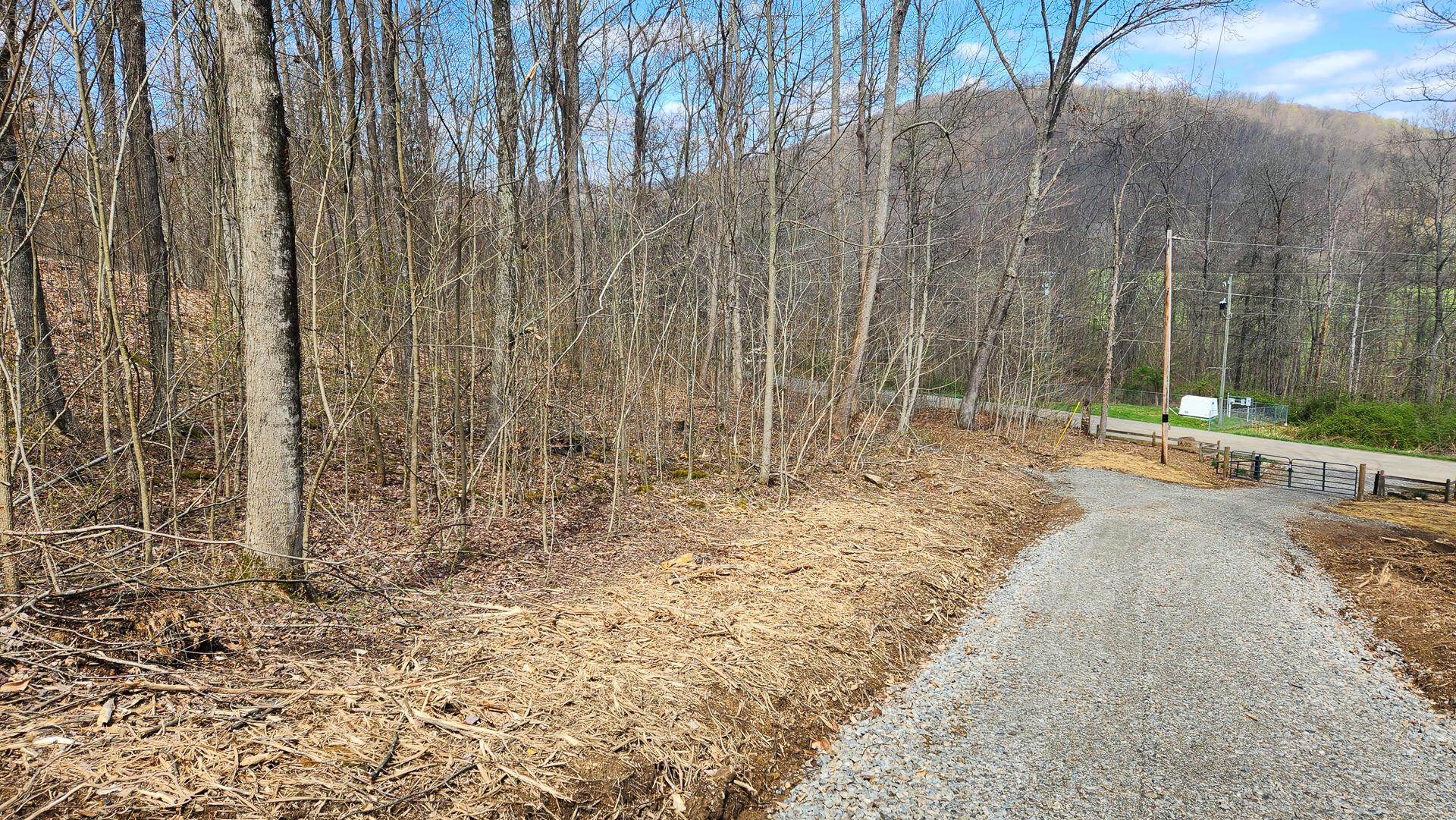 Pike Lake Rd Road #TRACT 2 PIKE LAKE GETAWA, Bainbridge, Ohio image 7